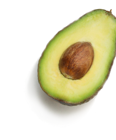 A halved avocado with the pit still inside, showing creamy green flesh and a dark green outer skin, rests on a white background with a subtle shadow—an inviting image symbolizing food assistance and nourishment.